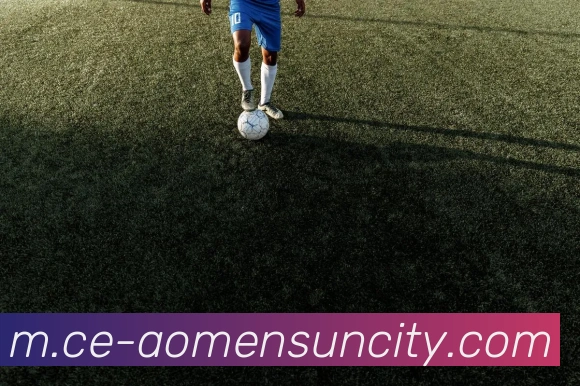 太阳城网站品牌故事