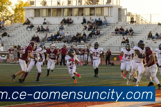 太阳城网站服务体系